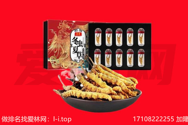 北京延庆区回收虫草.jpg